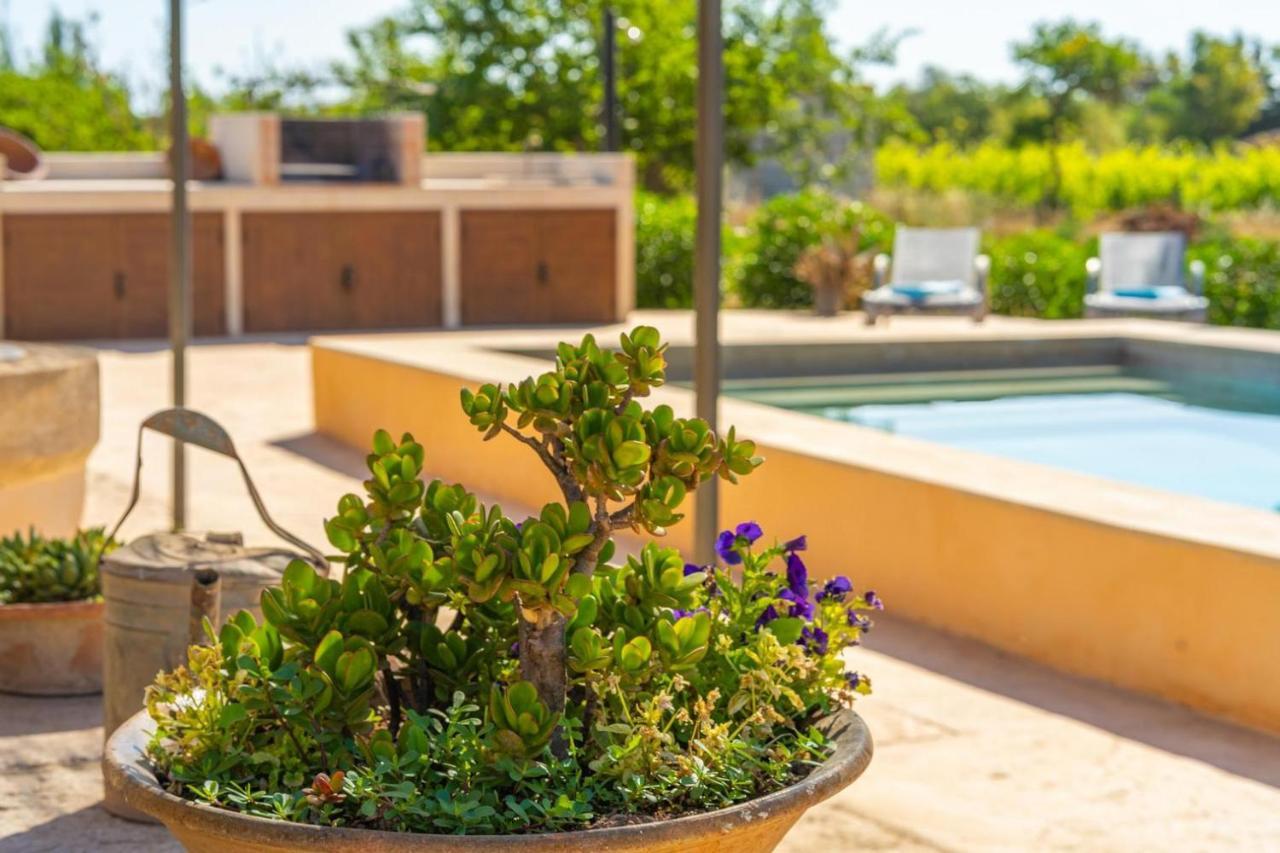 Finca Campestre Es Verger Blue Binisalem Eksteriør billede